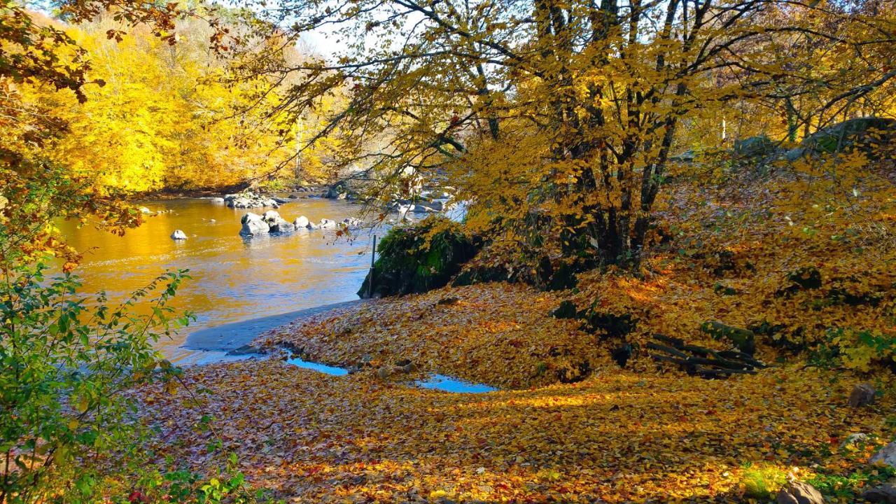 L'Elassier Saint-Priest-sous-Aixe Bagian luar foto